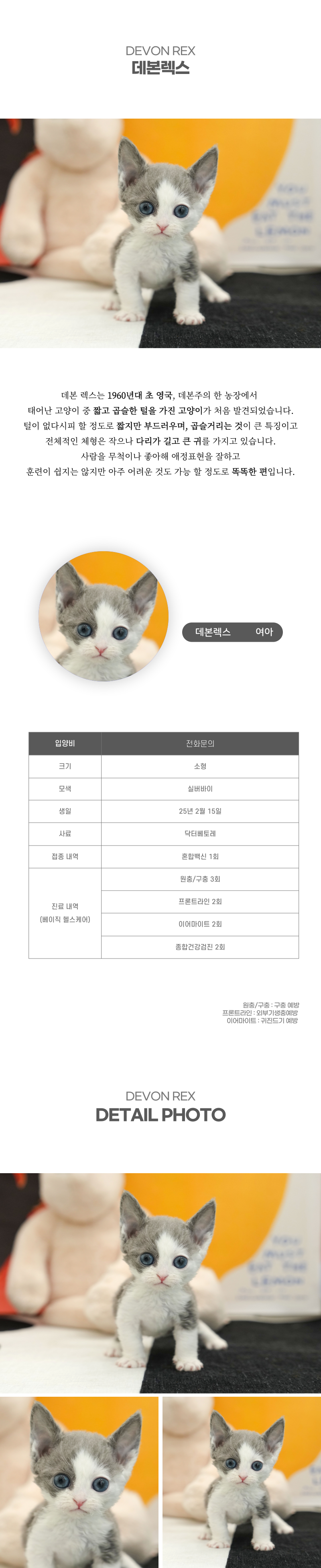 데본렉스_상세이미지_2